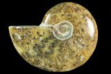 Polished, Agatized Ammonite (Cleoniceras) - Madagascar #119014-1